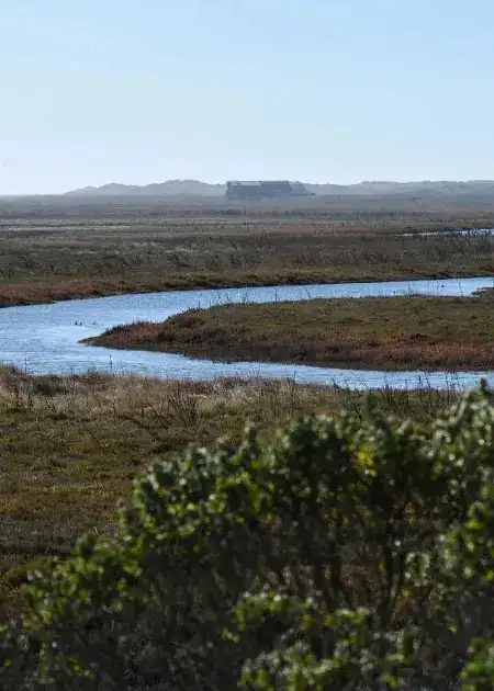 Eel-River-Estuary-Preserve_Nov-2022