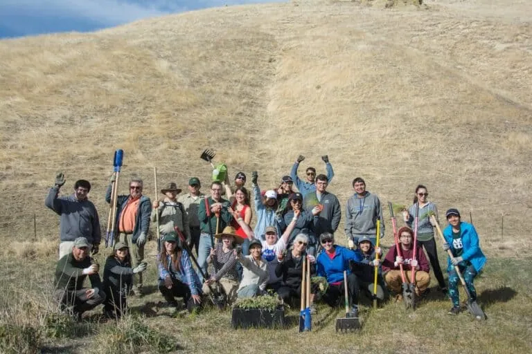 Group of volunteers planting trees at Wind Wolves Preserve for conservation.