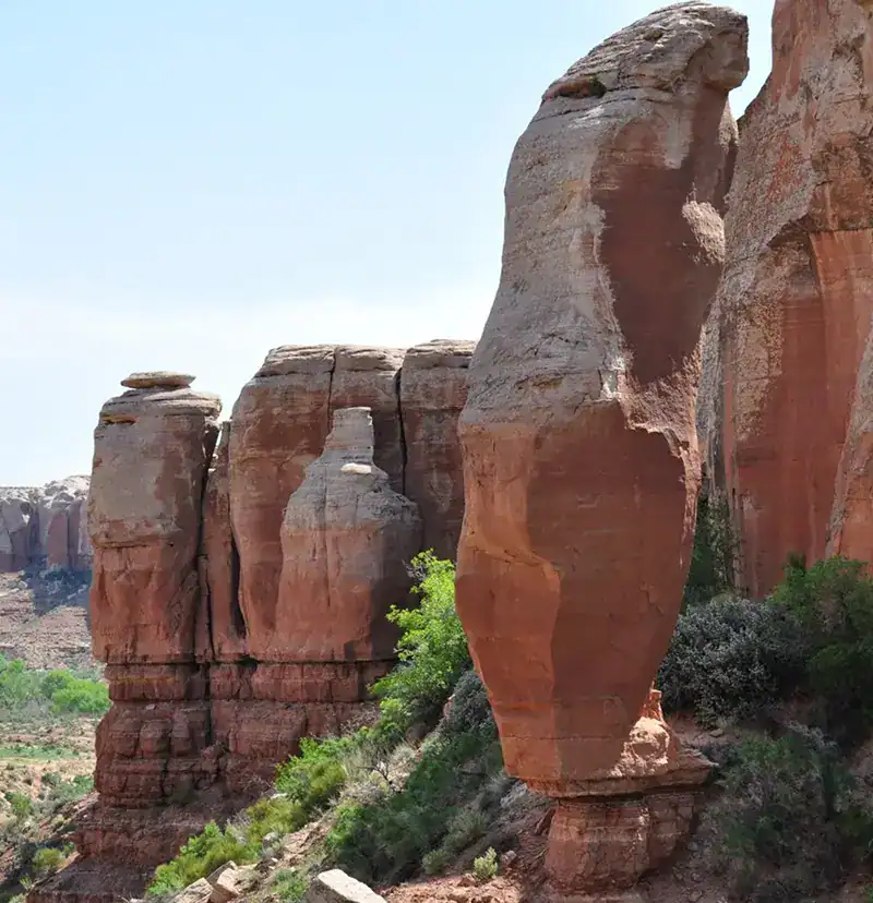 column (2)