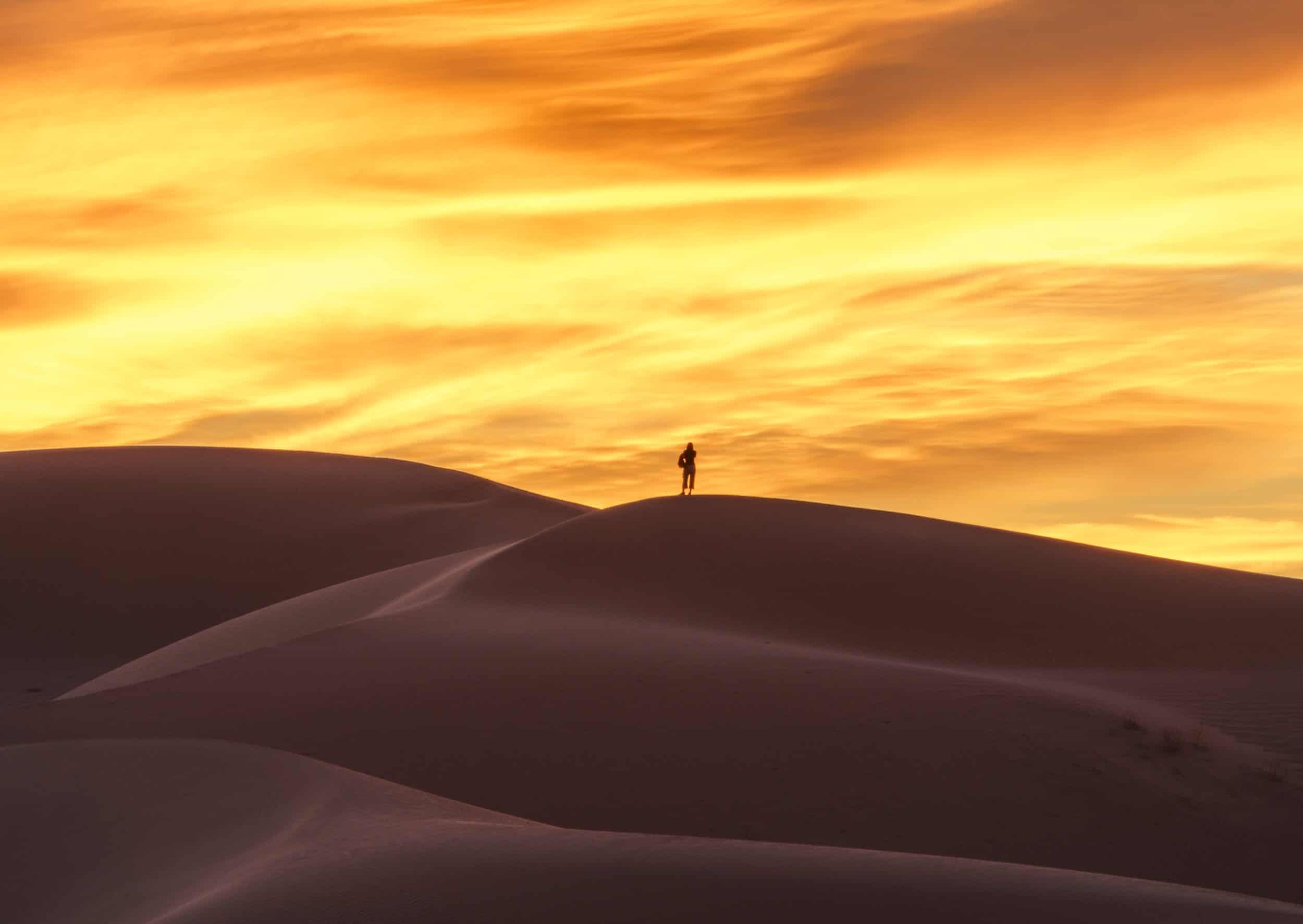 Cadiz Dunes, Mojave Trails National Monumentโprotected wilderness in California's Mojave Desert. Photo by The Wildlands Conservancy staff.