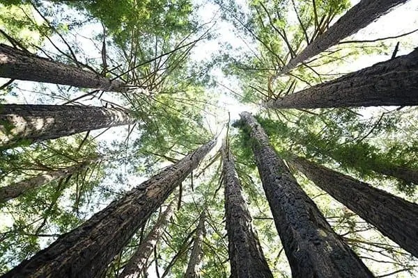 Jenner Headlands Preserve / photo by Elba Mora