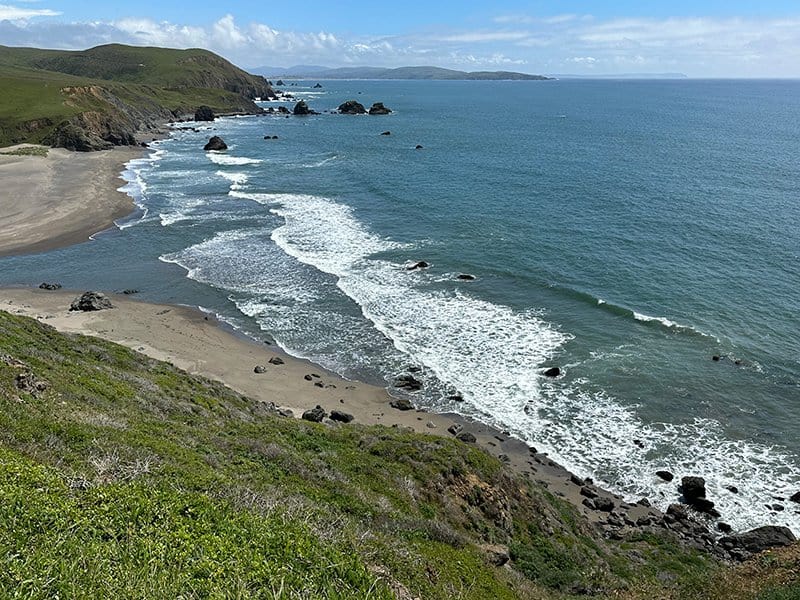 EACP_landscape_mouth-of-estero_spring2023_J.Adams-1
