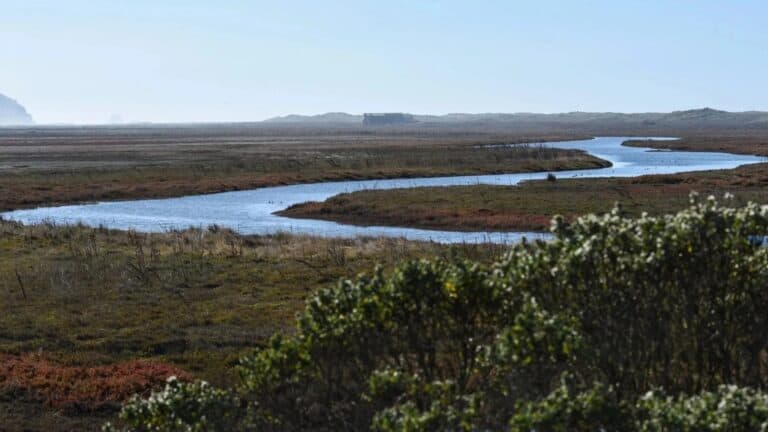 Eel-River-Estuary-Preserve_Nov-2022_MD-26-1