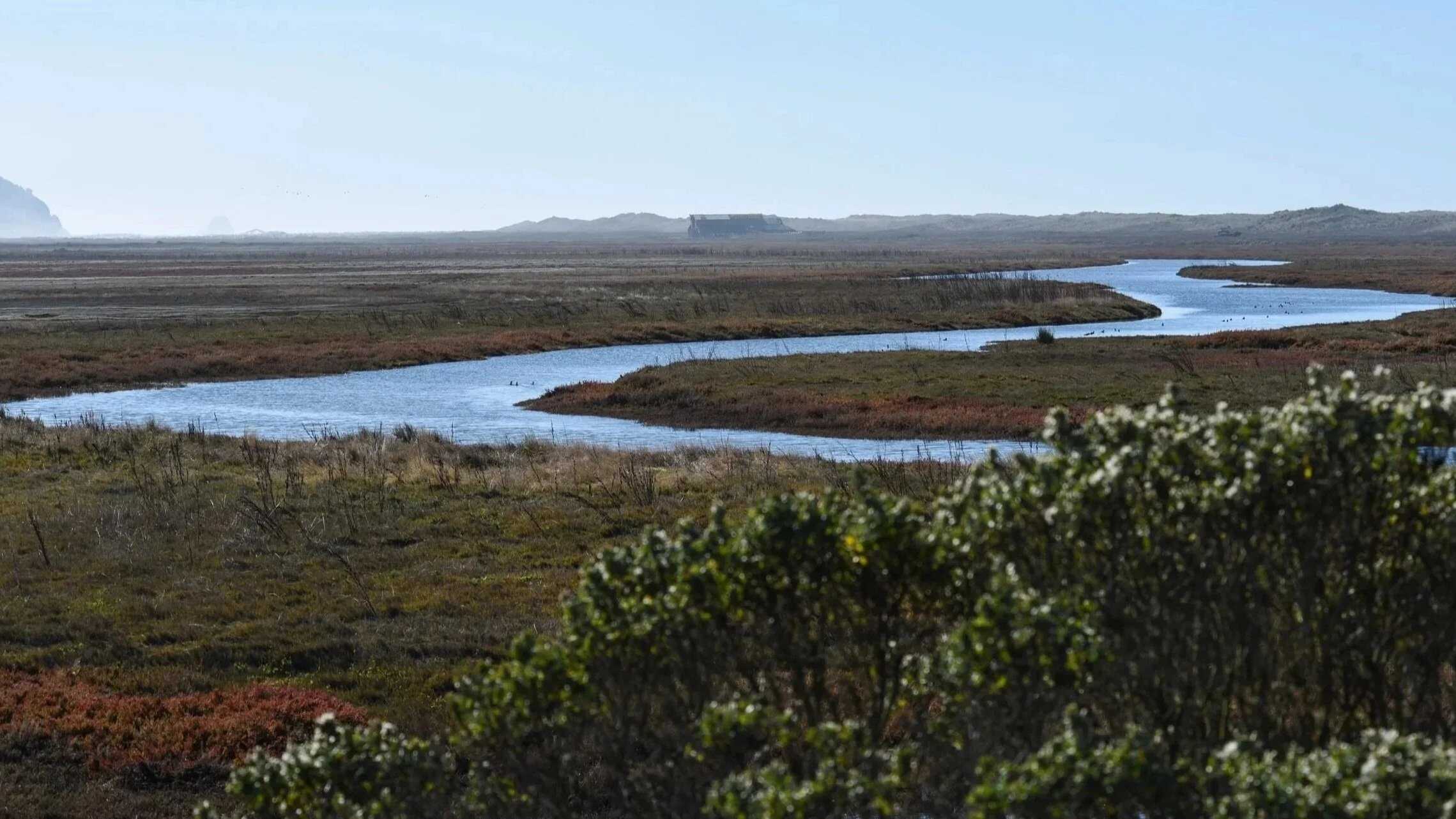 A broad landscape with meandering water, open wetlands, and low hills on the Eel River Estuary. Photo by The Wildlands Conservancy staff.