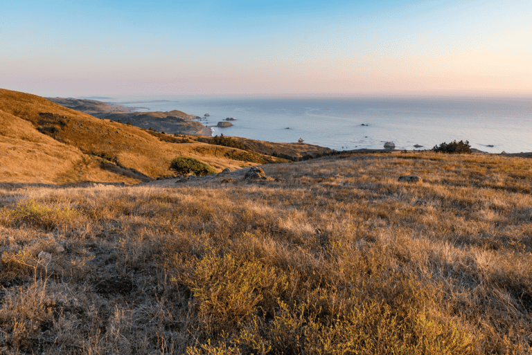 Jenner-Headlands_Jeremy-Long_September-2020_72