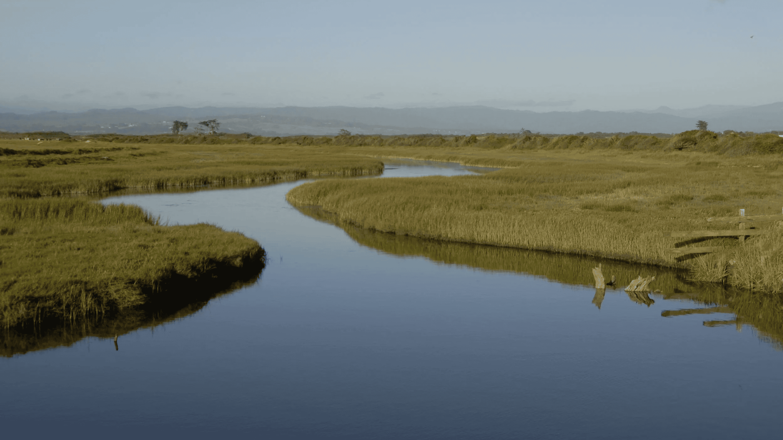 A calm, curving tidal channel winds through green marsh grasses, with distant hills beneath a soft blue sky. Photo by David Clendenen.