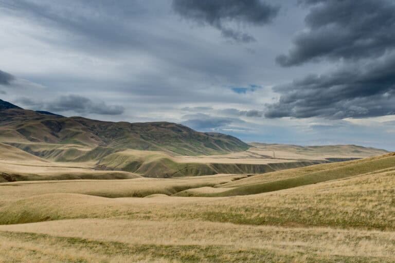 Wind-Wolves_Jeremy-Long_September-2020-2
