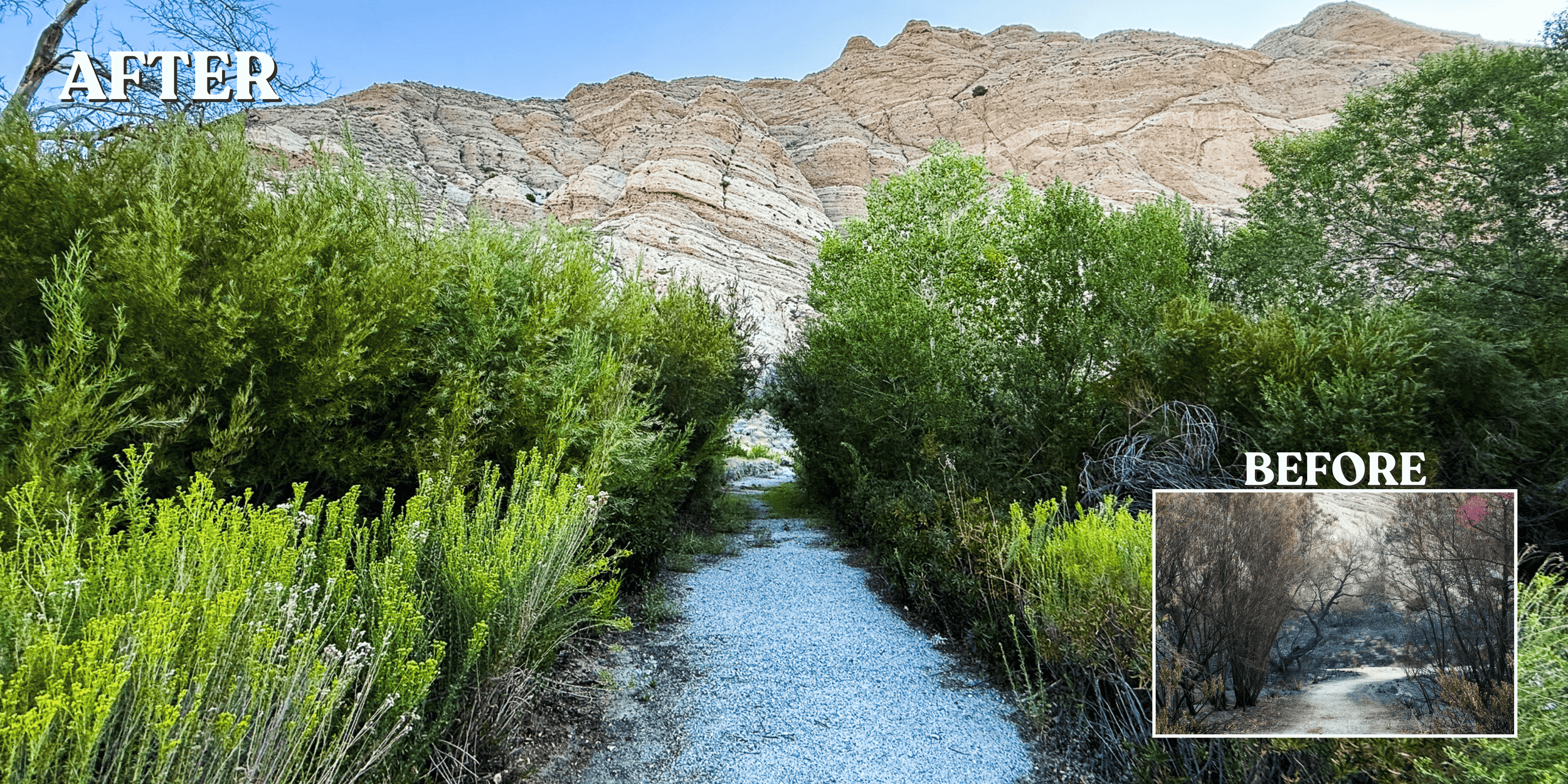  Whitewater Preserves greenery and cliff faces before and after restoration&nbsp; |&nbsp; Photo by Whitewater Staff  