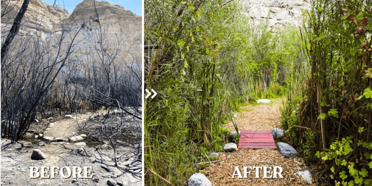 waterfirebeforeandafter