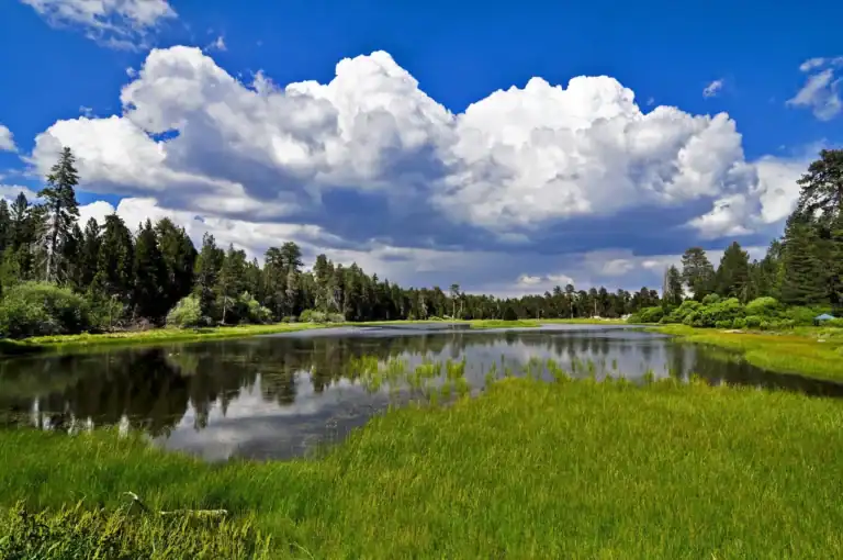Bluff+Lake+Reserve