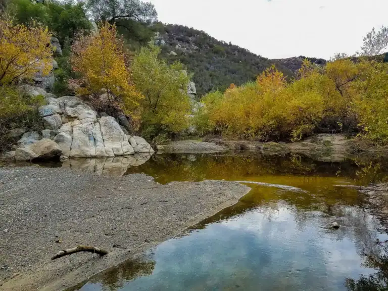 Fall_SantaMargaritaRiverTrail_JohnTrammell_December2018+(5)