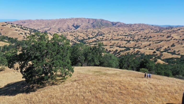 RanaCreekRanch_DroneMedia_JohnTrammell_June2023+(25)