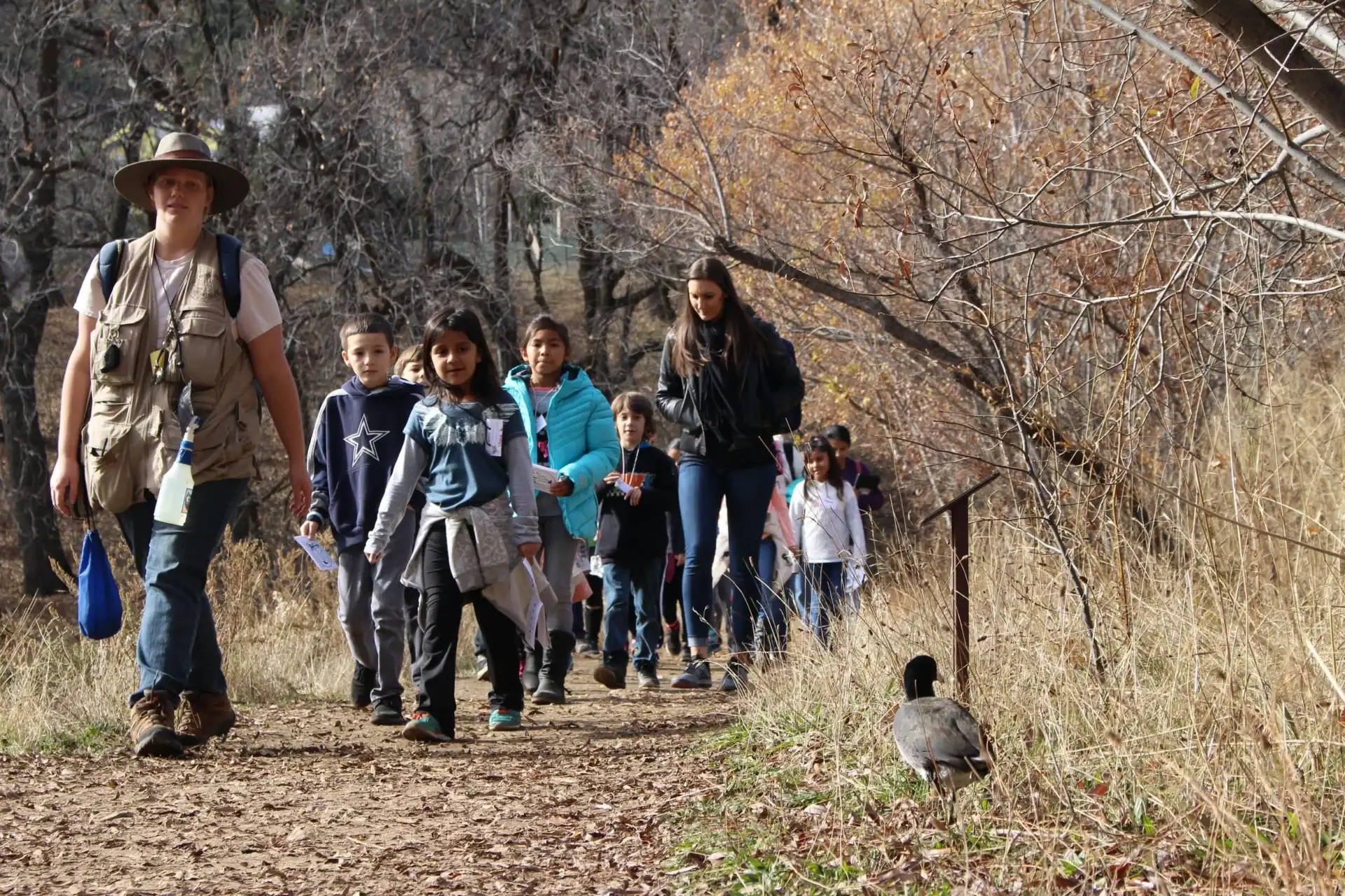 Group of children and adults on nature walk in a forested area.