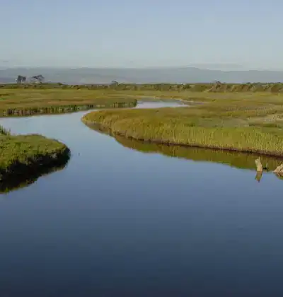 megamenu-eel-river-estuary