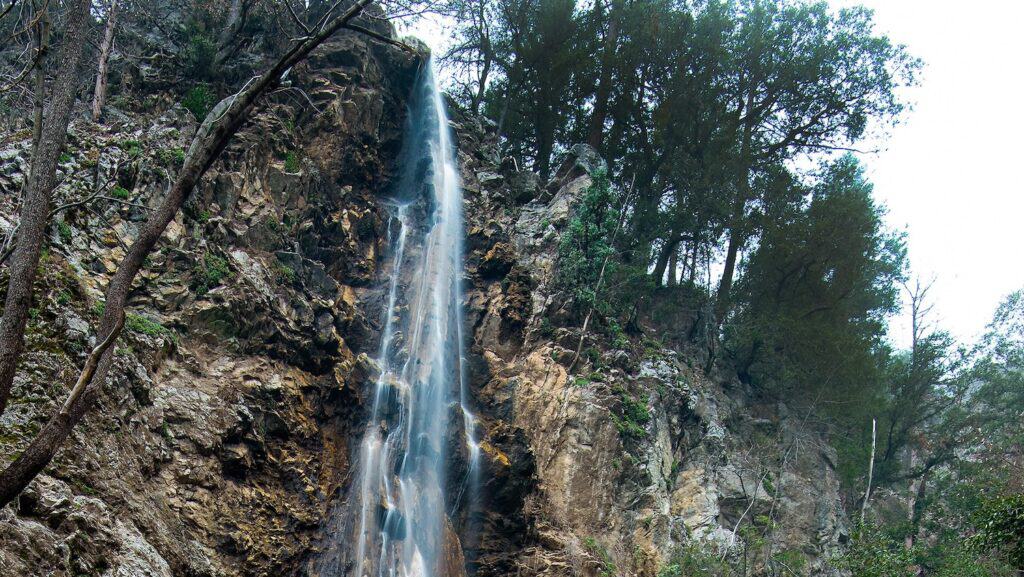 Waterfall in a lush forest at The Wildlands Conservancy.