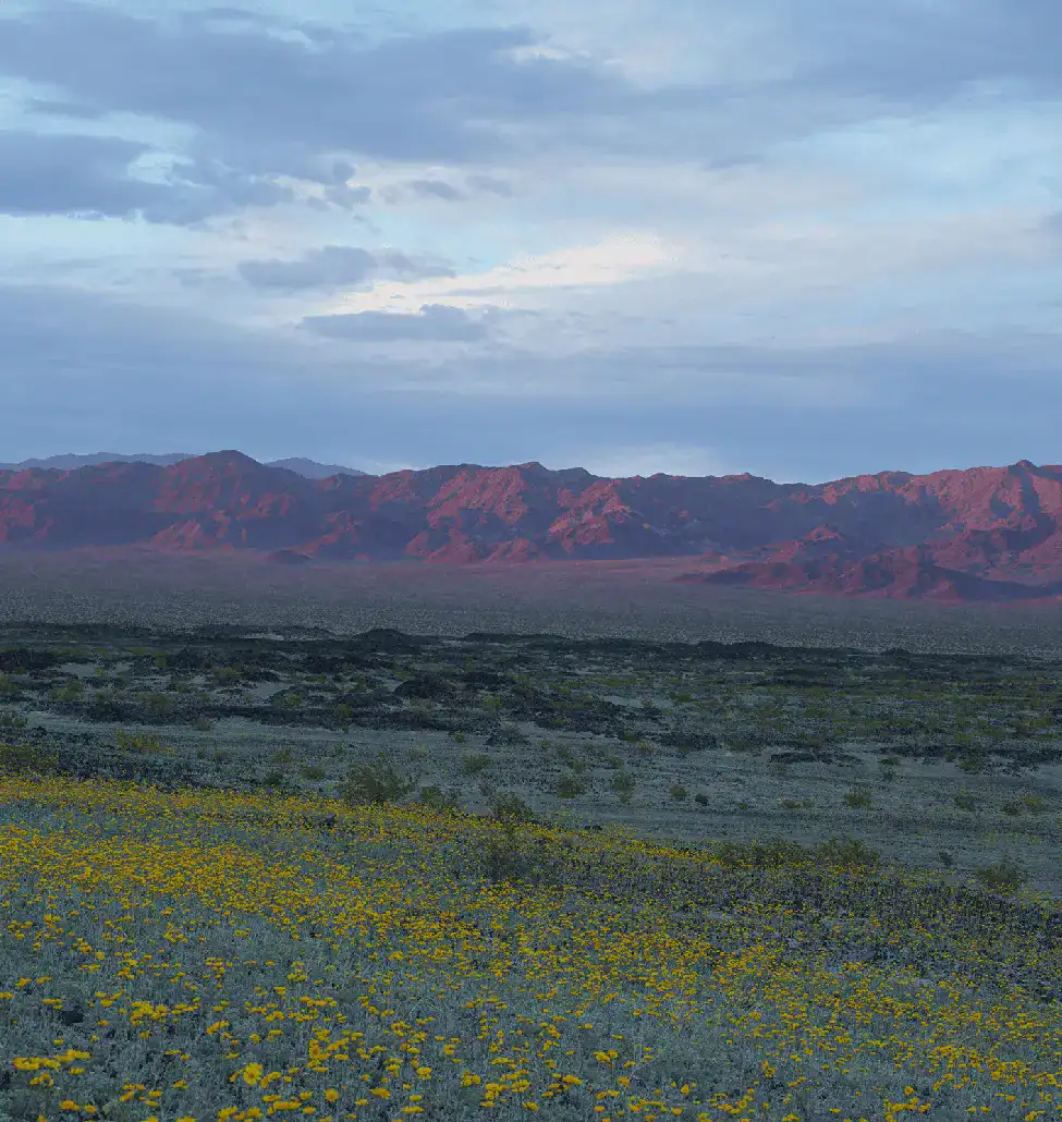 Ambly_MojaveTrailsNM_reduced