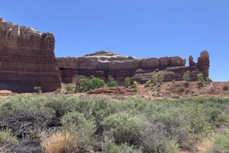 Bears Ears National Monument Landscape