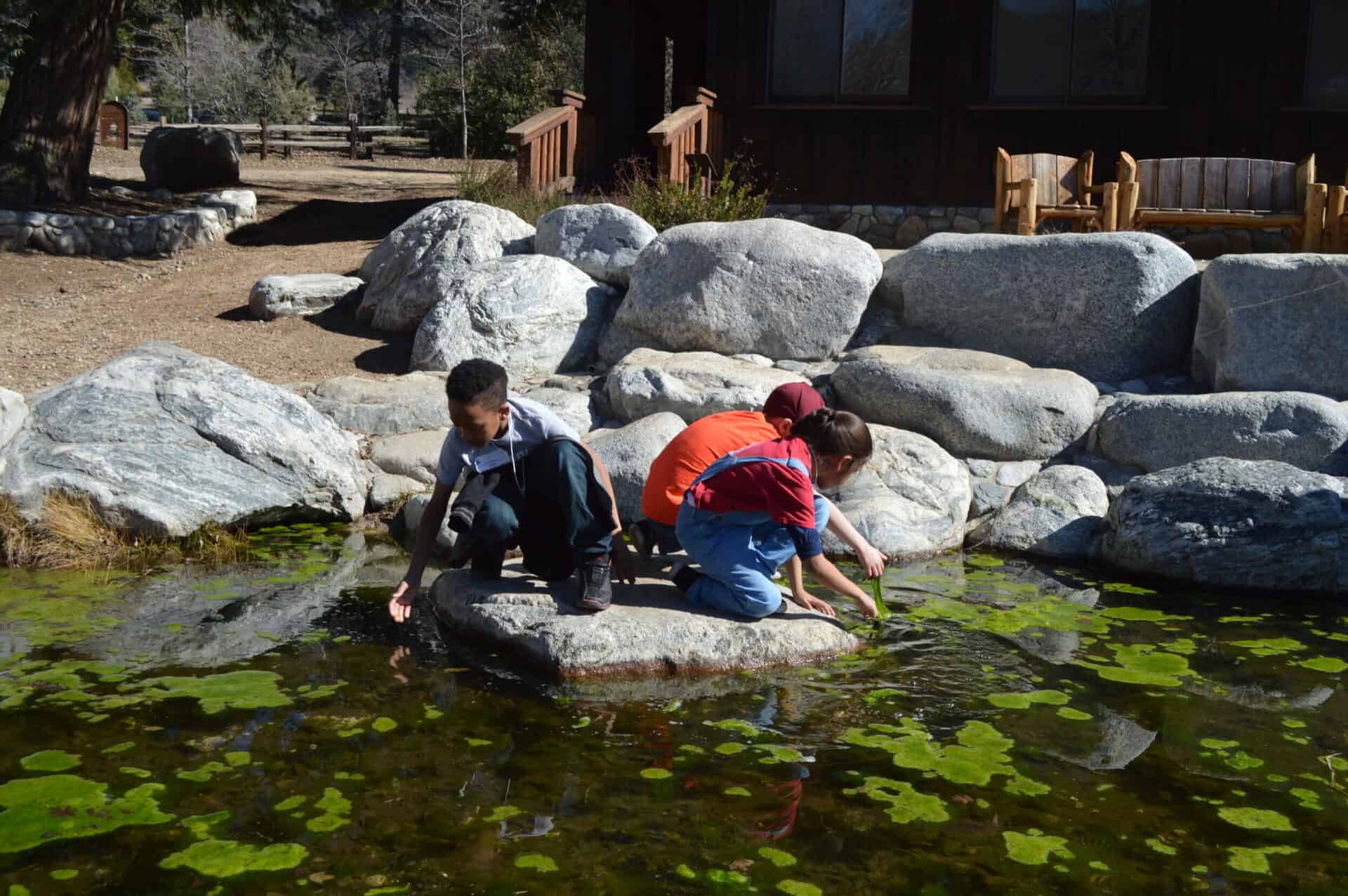 Children exploring a pond with rocks and lily pads at The Wildlands Conservancy.