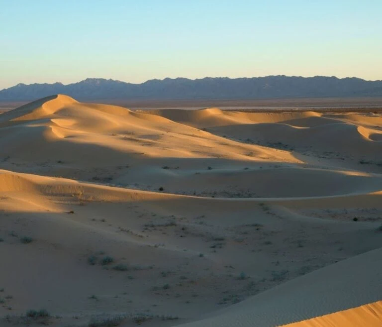 Sand dunes and mountain backdrop in a vast desert landscape at sunset.