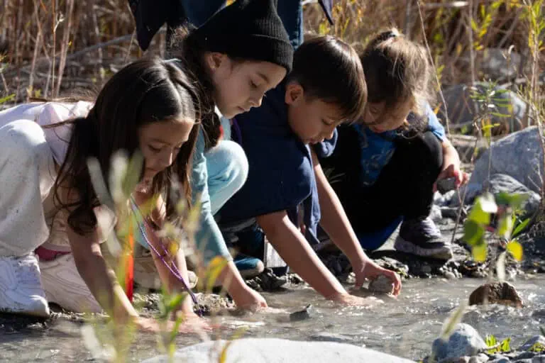 Children exploring a creek in nature at Wildlands Conservancy.