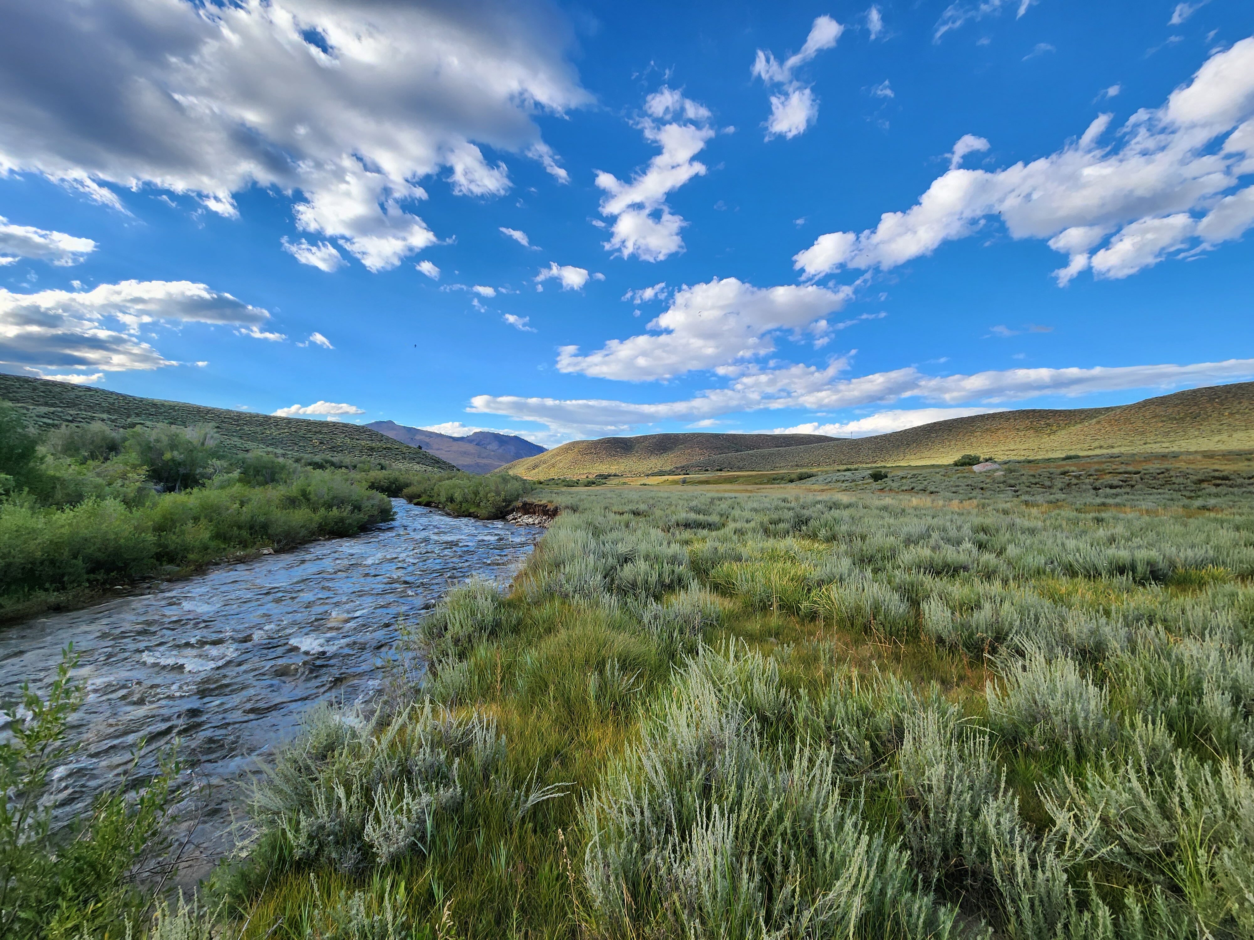 LittleWalkerRiver_TwoRiversPreserve_JohnTrammell