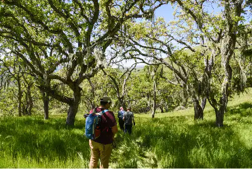 Rana-Creek-Guided-Hikes-April-2024_MD-27-1