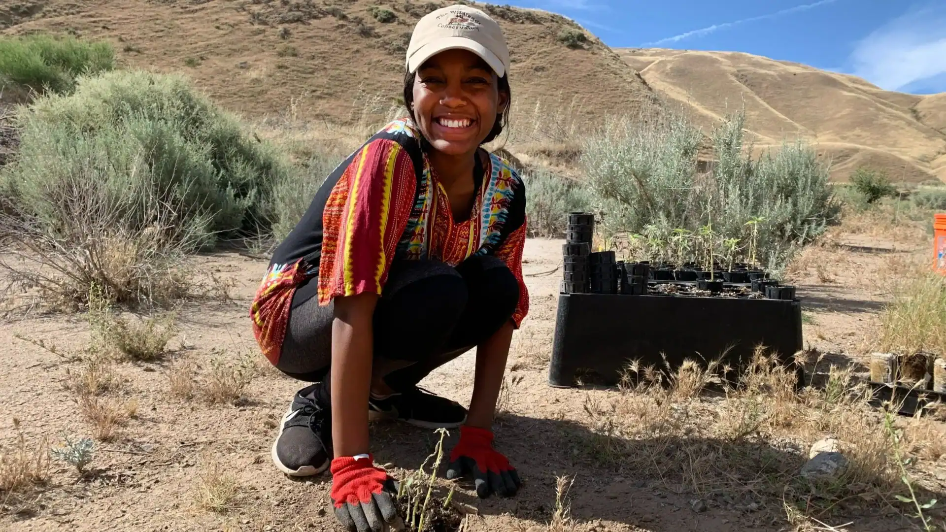 A woman planting native plants in a desert landscape with hills in the background.