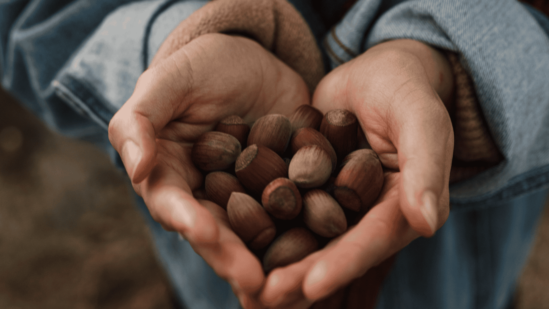 Acorn