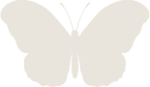 butterfly-as-stone-90