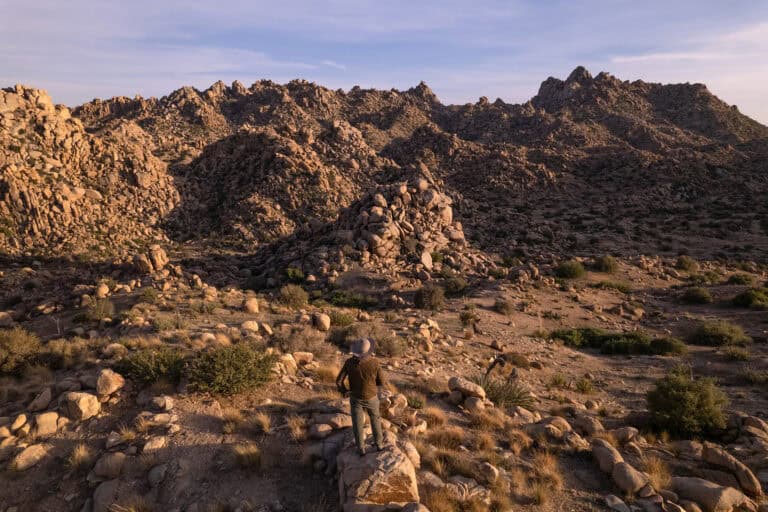 ca-desert-pmp-landscape-jthompson-3