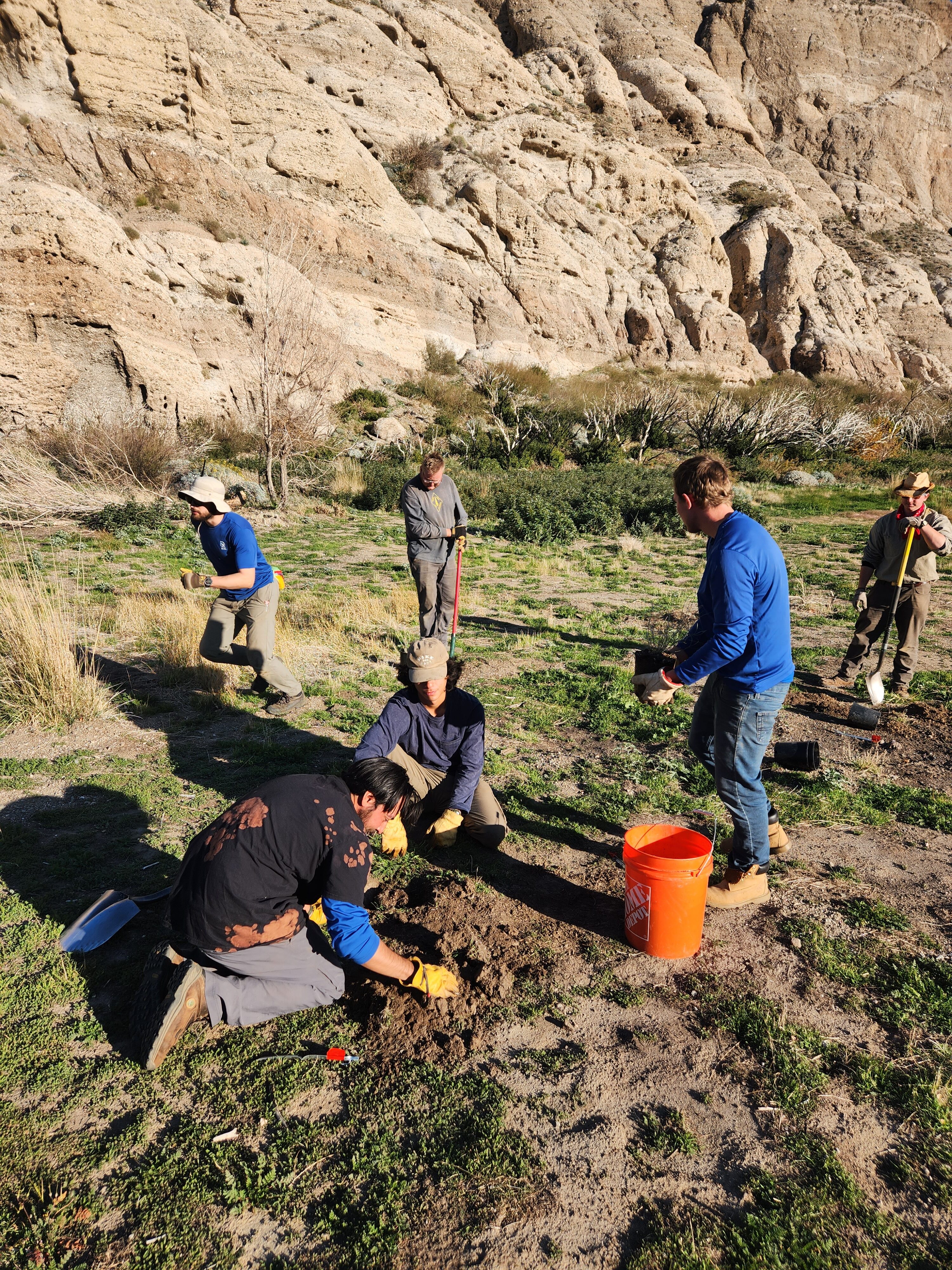 california-desert-whitewater-restoration-planting-april-2022
