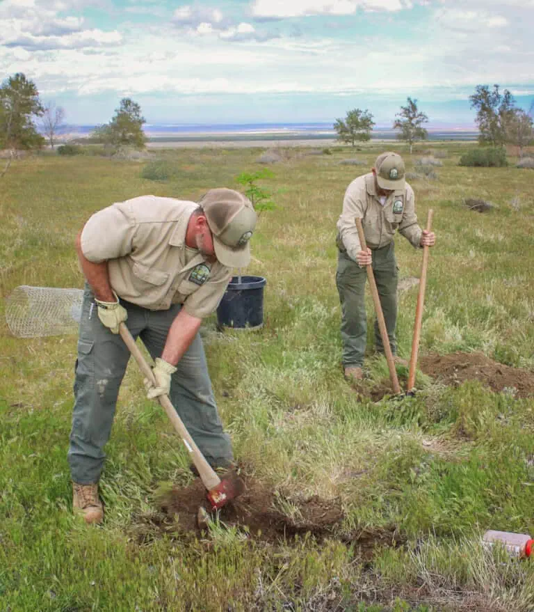 Two conservationists planting a tree in a grassy field with a scenic landscape.