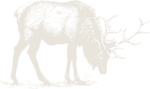 elk_stone