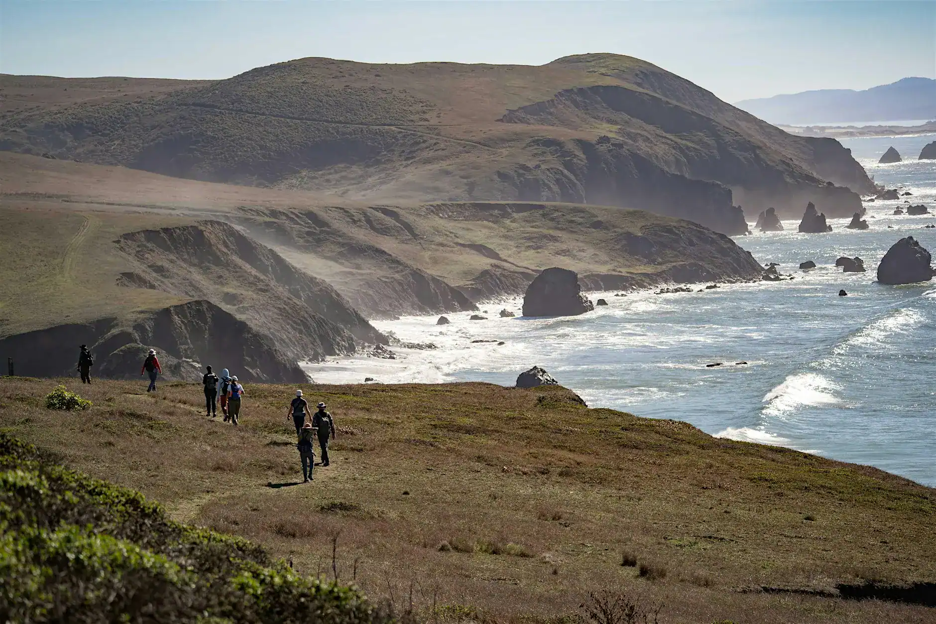 Yoga and Wildflower Walk