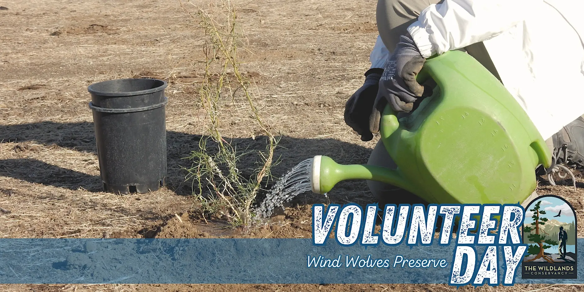 Volunteer Day: Plant Watering