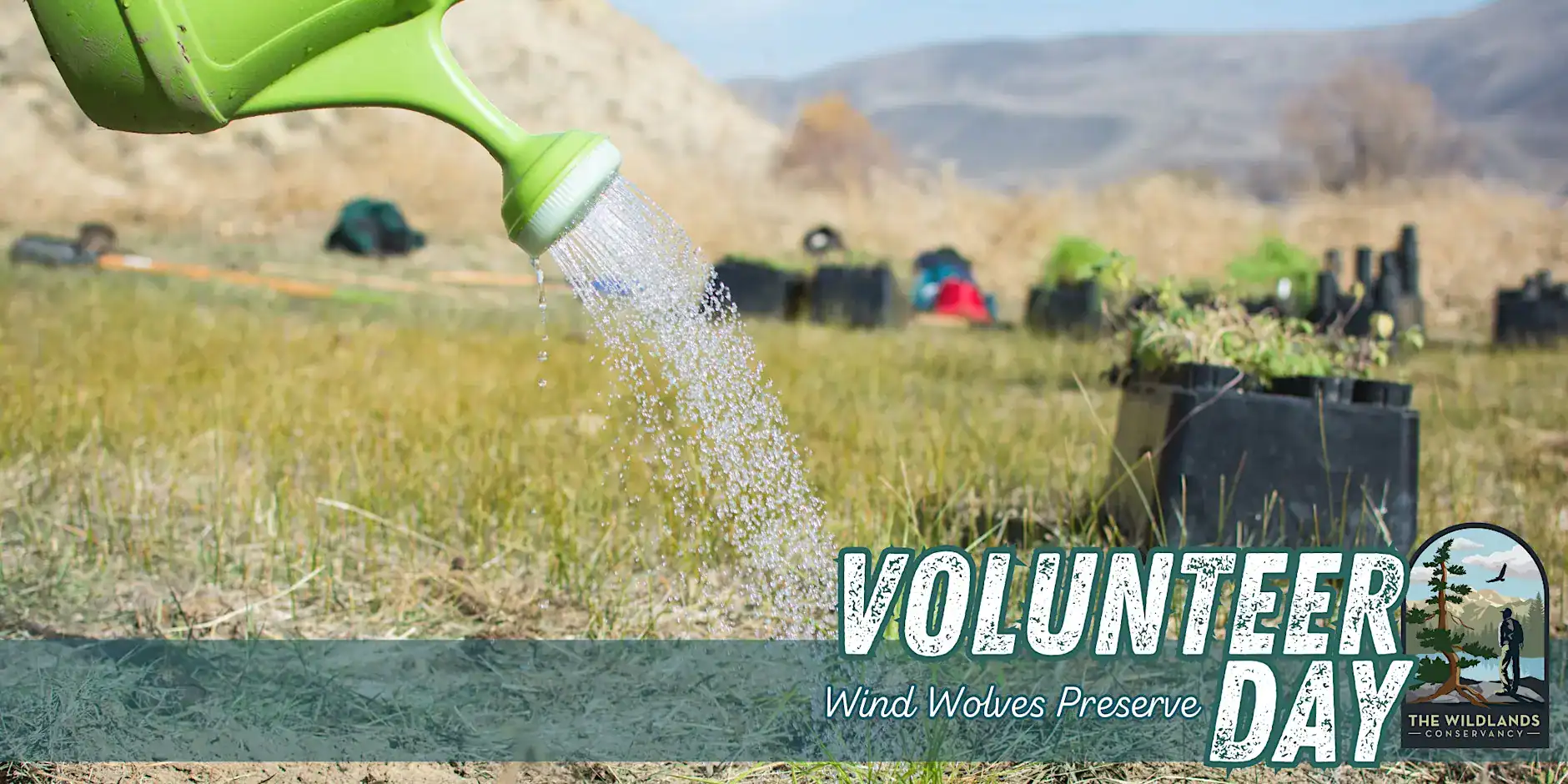 Volunteer day