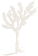 joshua-tree-stone_