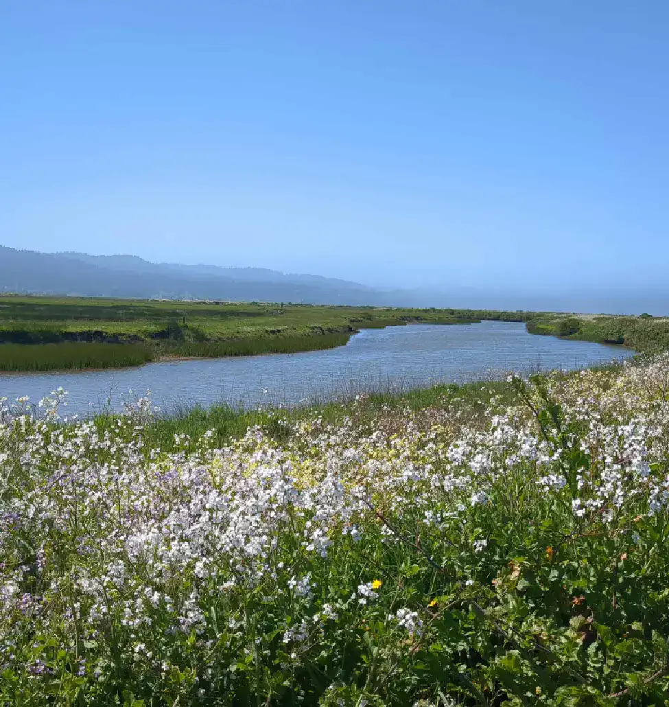 north-coast-eel-river-estuary-unknown