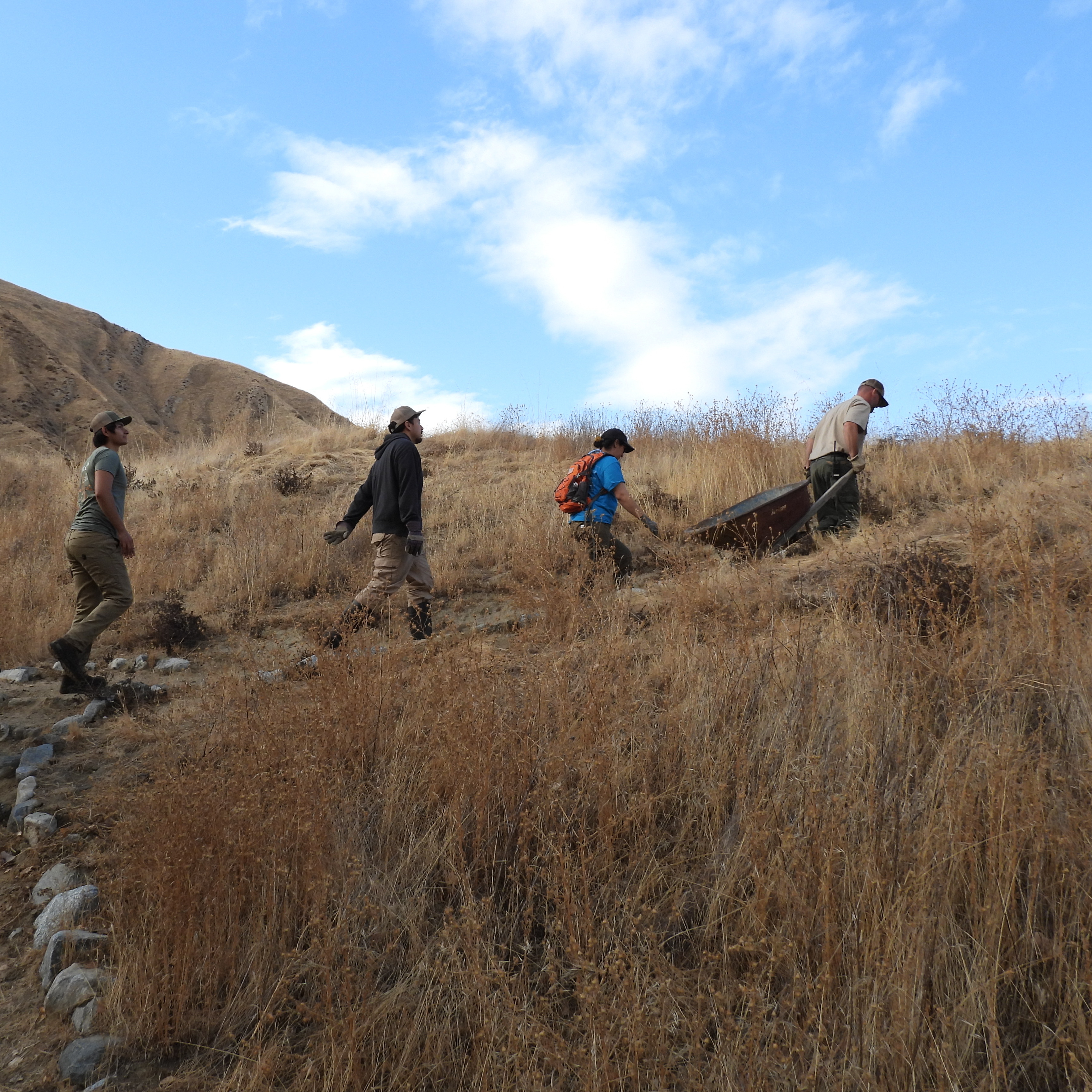 Volunteer Day: HARDCORE Trail Maintenance