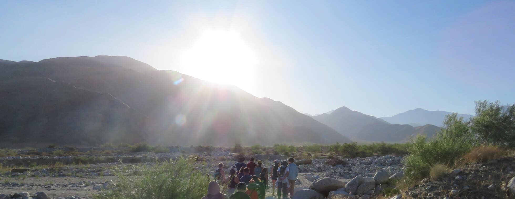 Summer Wellness Walk