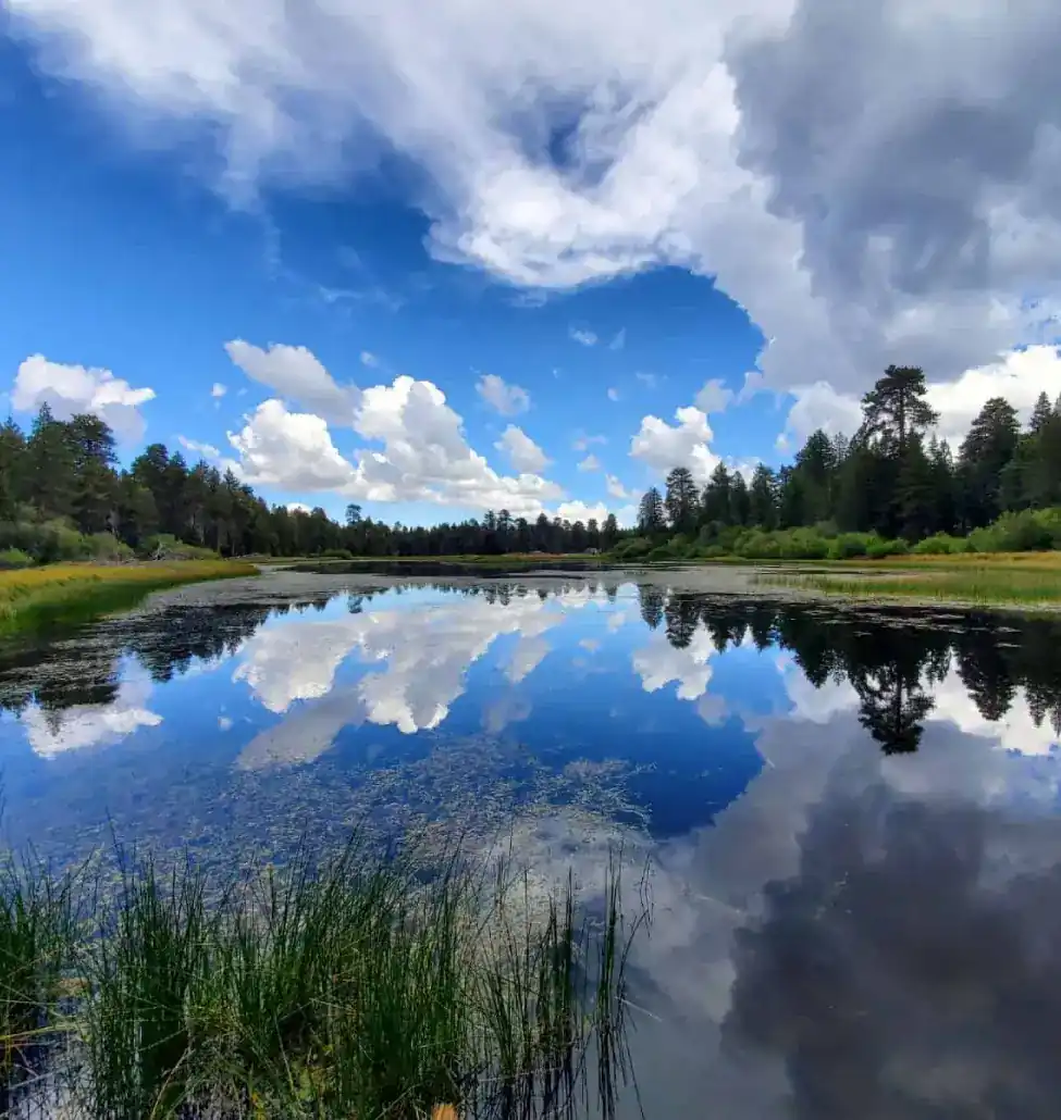 san-bernardino-mountains-bluff-lake-lake-atrammell (1)