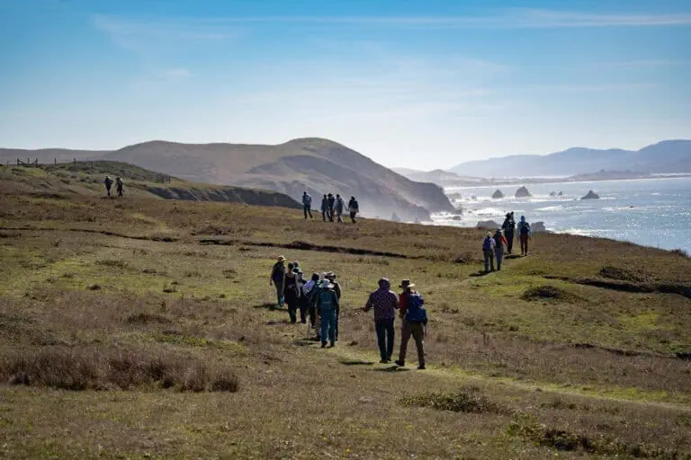 Group of hikers walking along coastal cliffs with ocean view in the background.