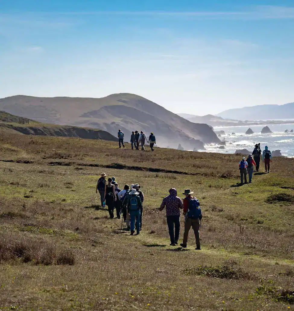 sonoma-coast-estero-americano-coast-fall-2025-chines-1
