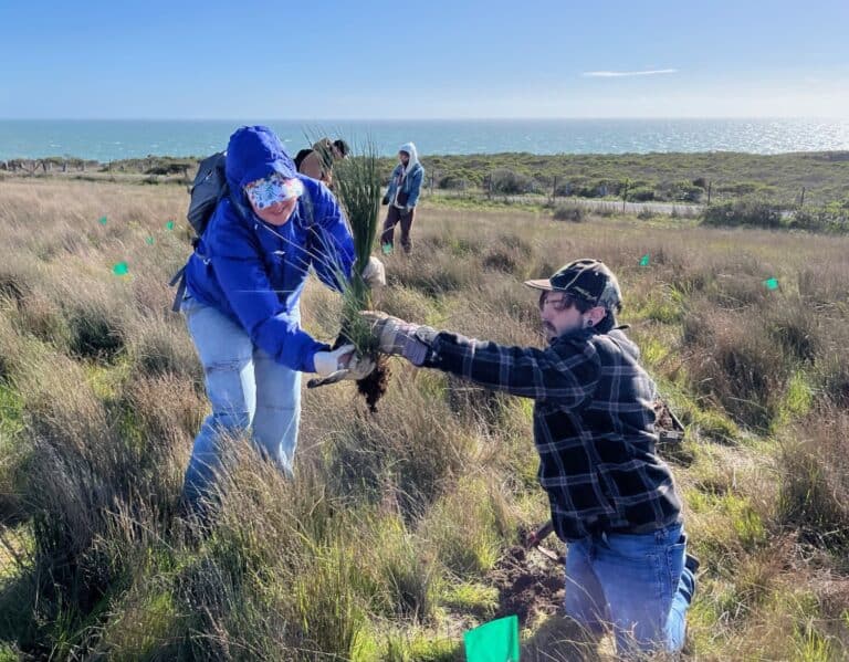 sonoma-coast-jenner-headlands-volunteer-2025-chines