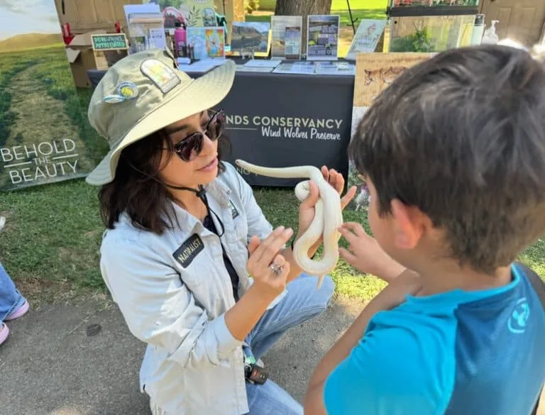 The Wildlands Conservancy staff member showing a snake to a young visitor at an outdoor event.