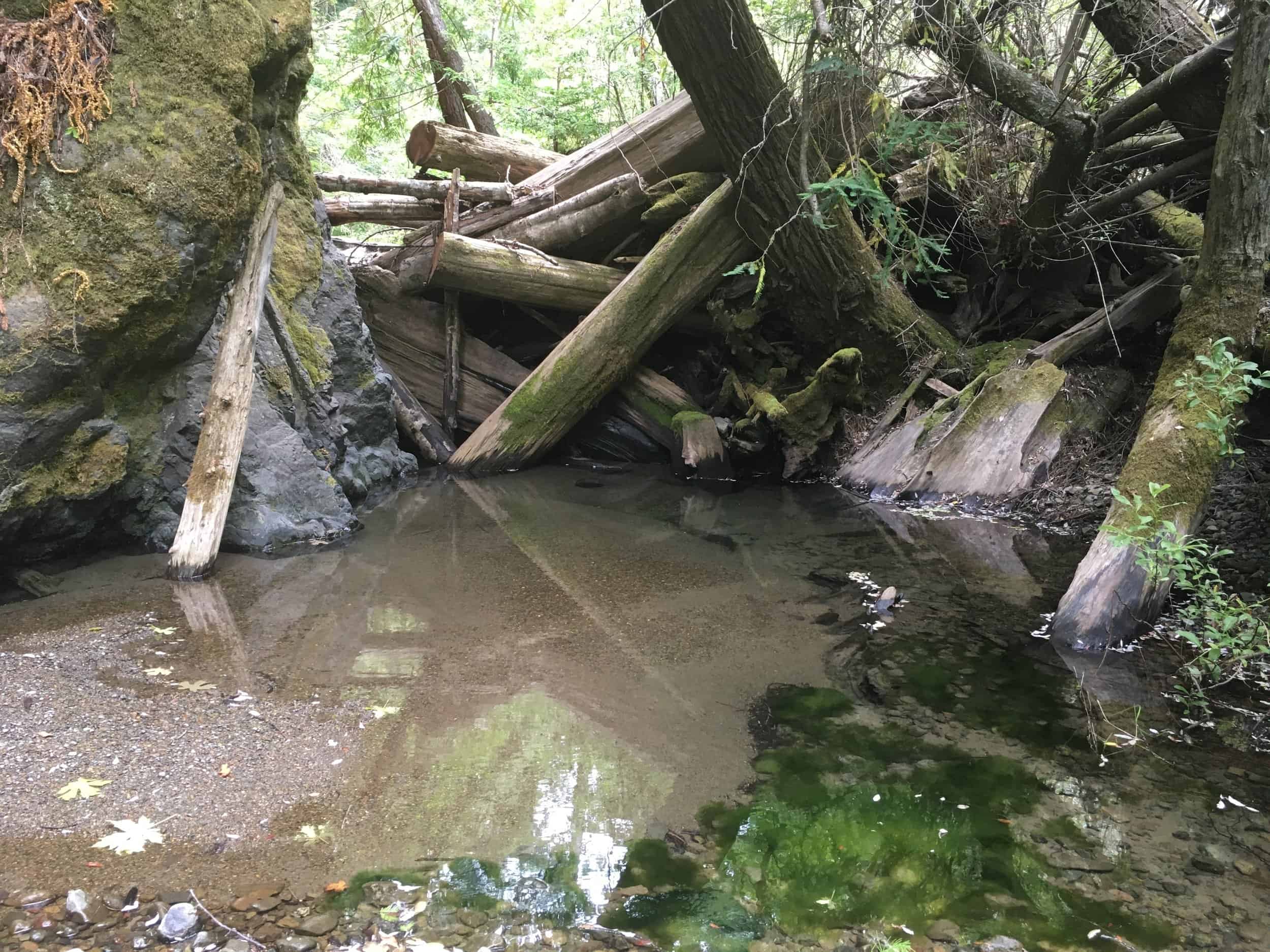   Russian Gulch stream barrier. Photo credit: Jill Adams / The Wildlands Conservancy  