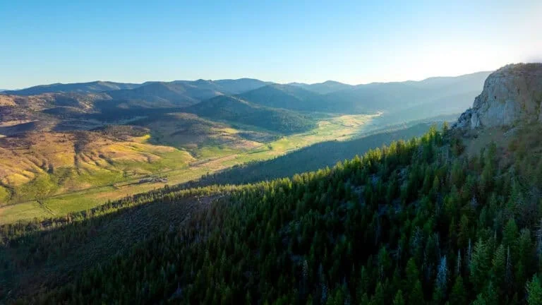 A lush green forest covering rolling hills and mountains in a scenic natural landscape.
