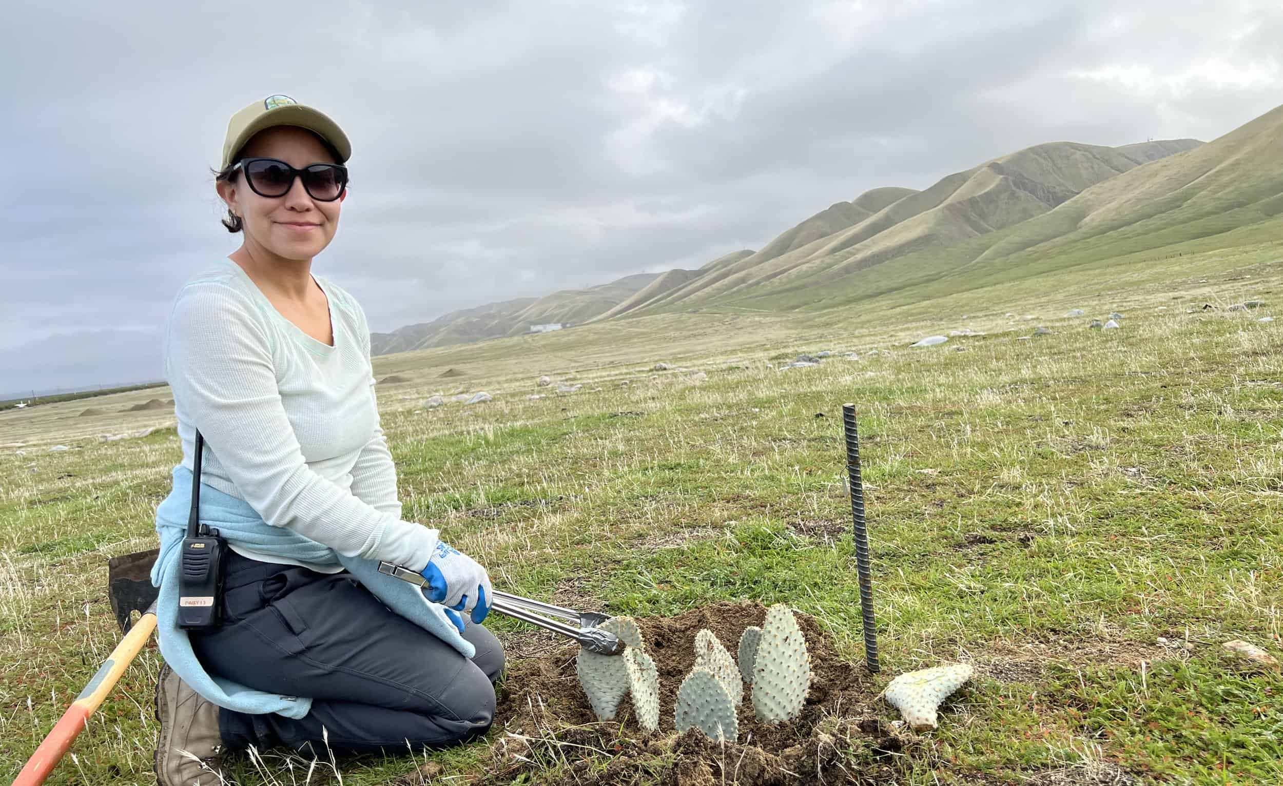   Preserve Manager, Daisy Carillo planting Bakersfield cactus at Wind Wolves Preserve  