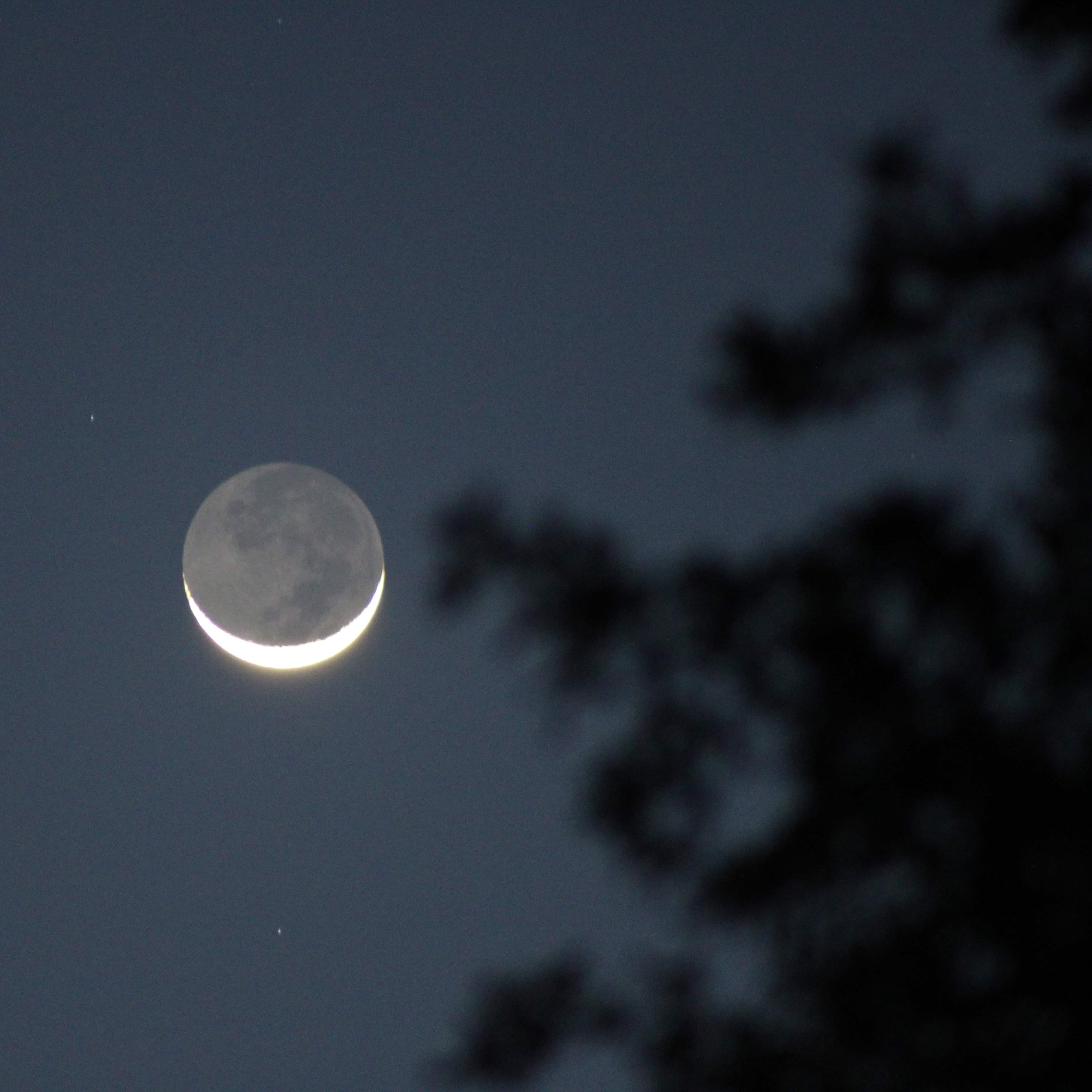 Moonlit night over natural landscape with silhouetted trees.