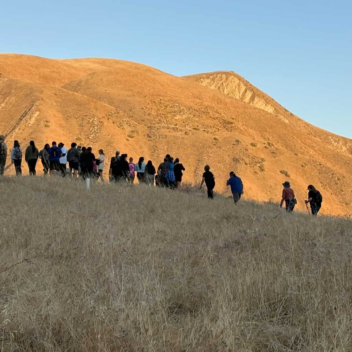 Hikers walking along a grassy hillside with golden mountains in the background during sunset.